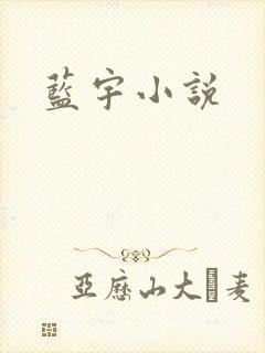 蓝宇小说