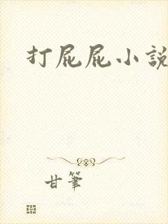 打屁屁小说
