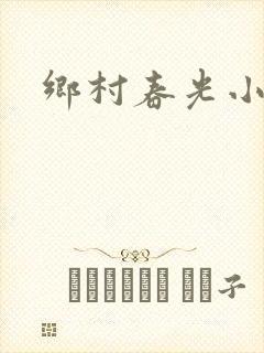 乡村春光小说