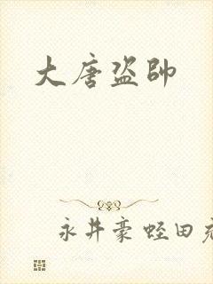 大唐盗帅