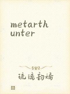 metarthunter封面