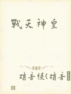 战天神皇封面