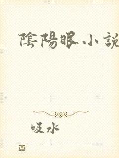 阴阳眼小说封面