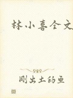 林小喜全文阅读