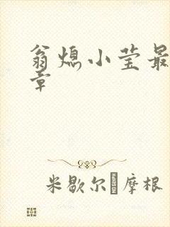 翁熄小莹最新节章封面