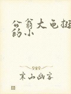 公翁大龟挺进我的小
