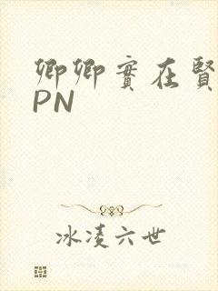 卿卿实在贤良NPN