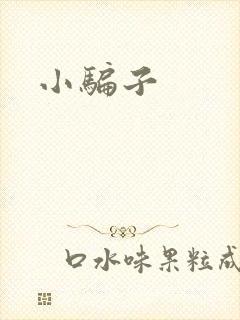 小骗子