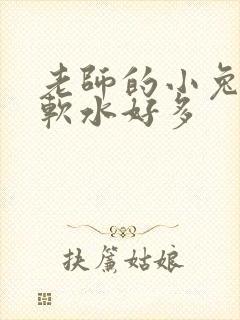 老师的小兔子好软水好多