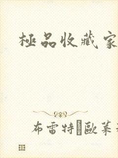 极品收藏家