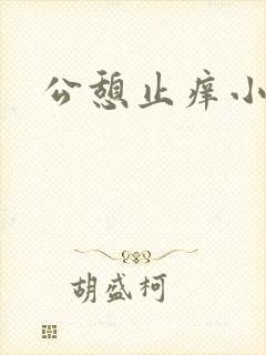 公憩止痒小说封面