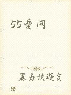 55爱网