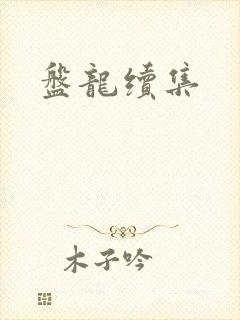 盘龙续集
