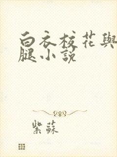 白衣校花与大长腿小说封面