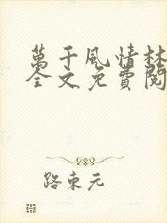 万千风情林小涛全文免费阅读封面