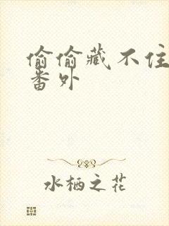 偷偷藏不住新婚番外