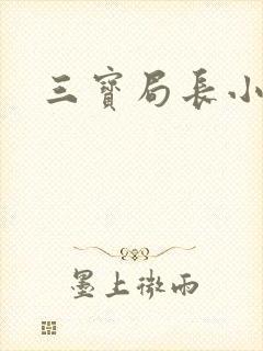 三宝局长小说