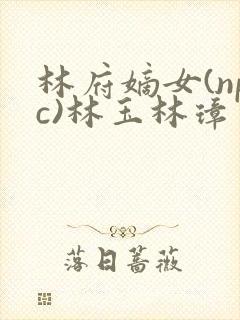 林府嫡女(npc)林玉林璋
