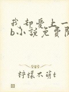 我却爱上一个sb小说免费阅读无弹窗封面