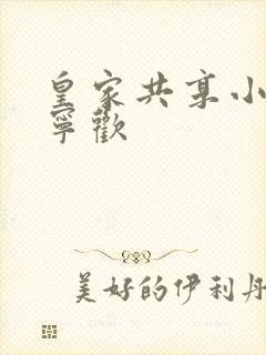 皇家共享小公主宁欢