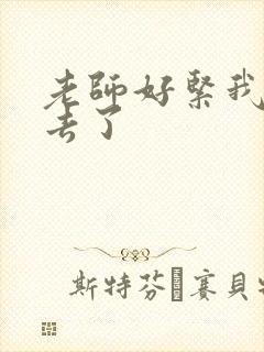 老师好紧我要进去了封面