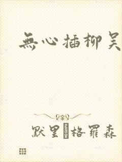 无心插柳吴悠封面
