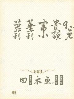 荣华富贵9小王莉莉小说免费阅读