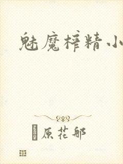 魅魔榨精小说封面