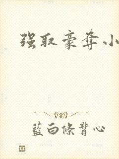 强取豪夺小说封面