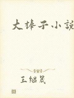 大棒子小说封面