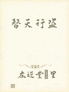 替天行盗