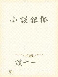 小说银狐