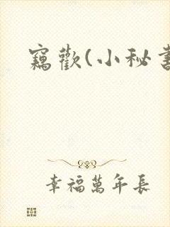 窃欢(小秘书)封面