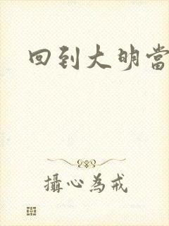 回到大明当才子