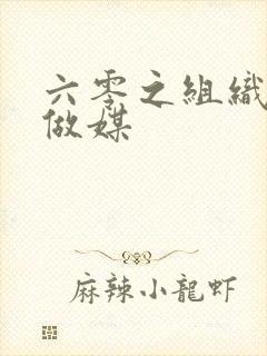 六零之组织给我做媒