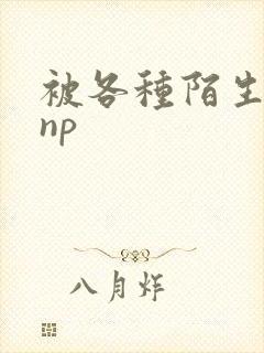 被各种陌生人 np