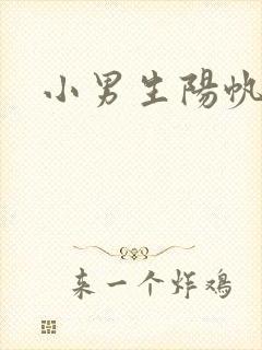 小男生阳帆