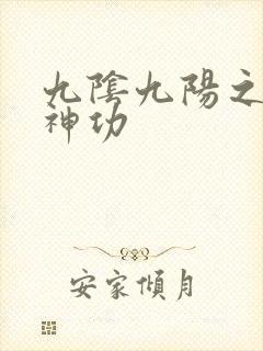 九阴九阳之阴阳神功封面