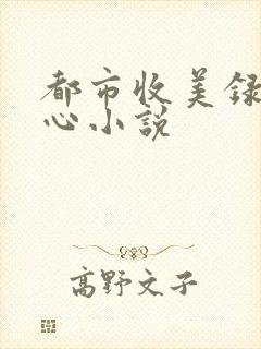 都市收美录宁素心小说