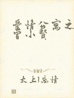 爱情公寓之极品曾小贤