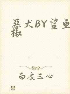 恶犬BY鲨鱼辣椒