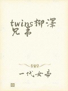twins柳泽兄弟封面