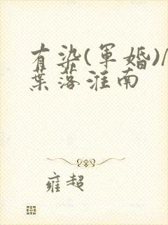 有染(军婚)/叶落淮南