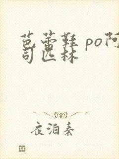 芭蕾鞋 po阿司匹林封面