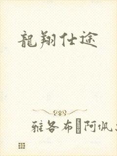 龙翔仕途