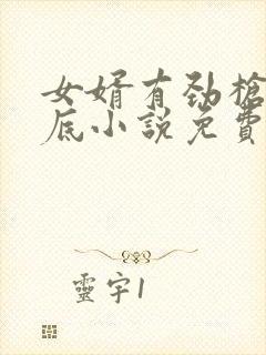女婿有劲枪枪到底小说免费阅读封面