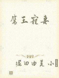 鹰王宠妻