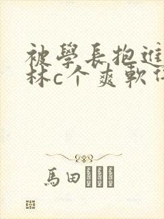 被学长抱进小树林c个爽软件