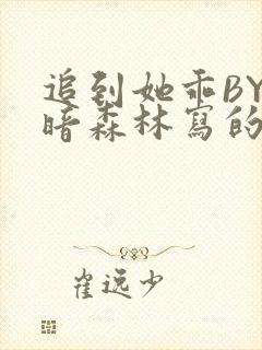 追到她乖BY黑暗森林写的小说