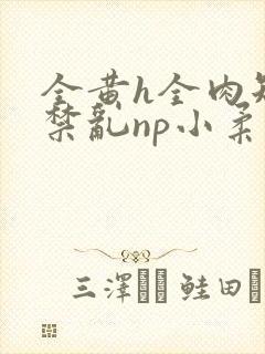全黄h全肉短篇禁乱np小柔封面